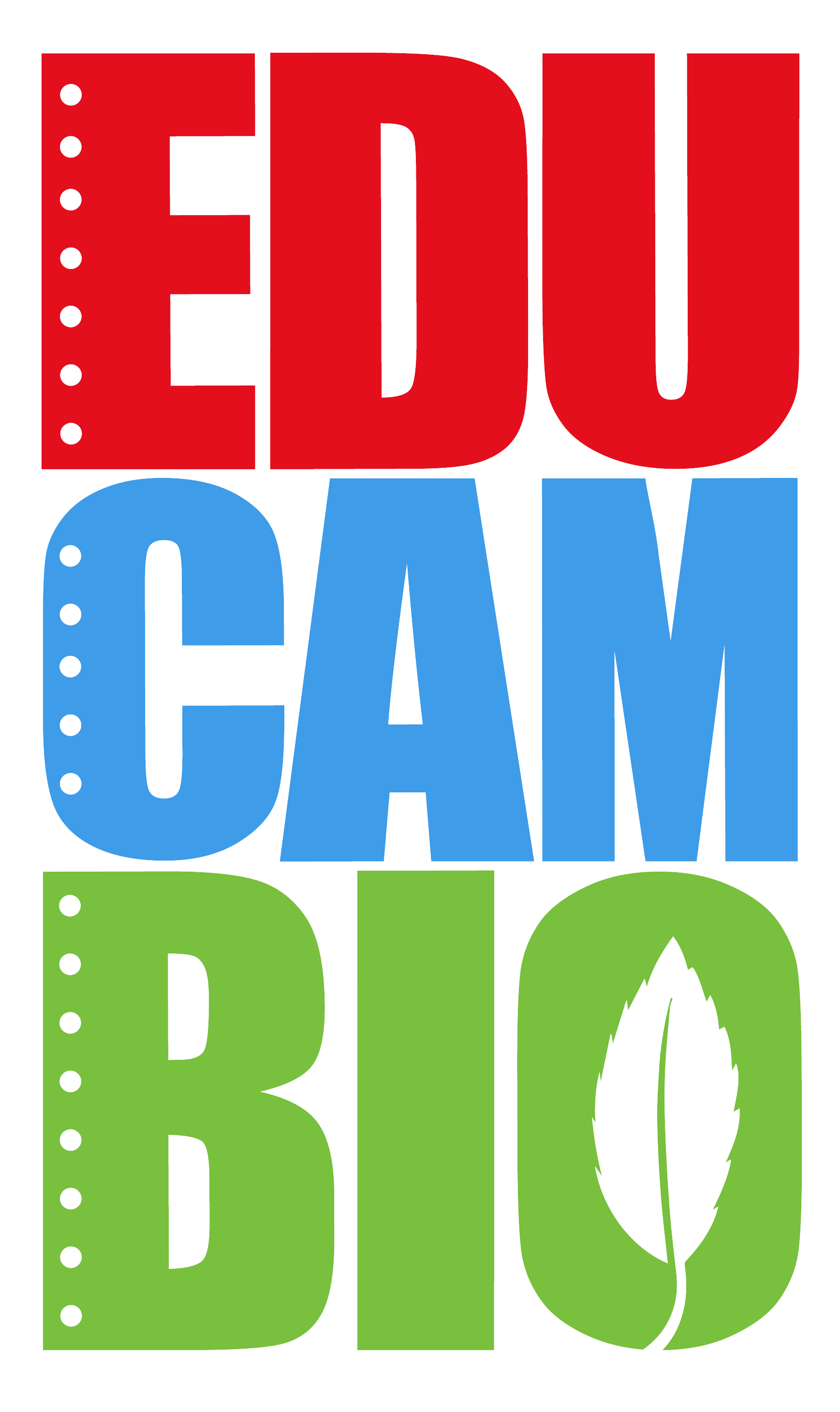 EDUCAMBIO Logo